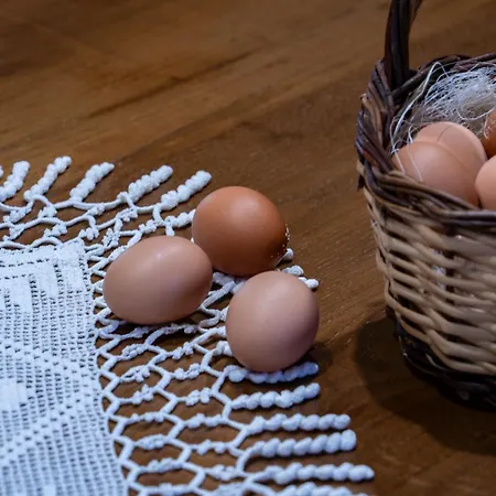 شاليه Dream House *